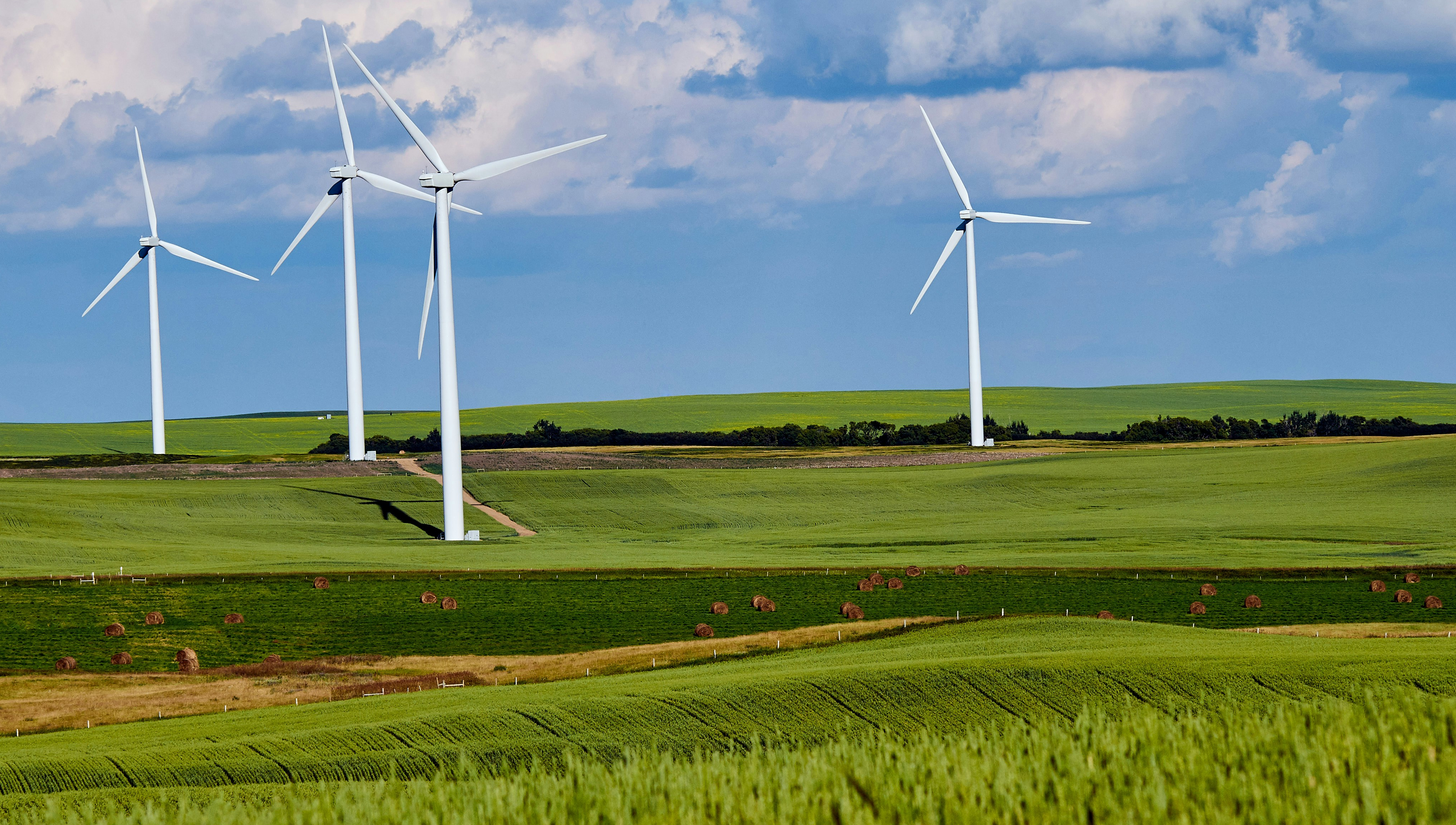 Photo de Abby Anaday sur Unsplash